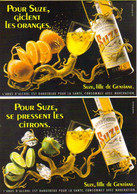 2 Cartes Postales "Cart'Com" (1997) - Suze, Fille De Gentiane (alcool - Boisson) Oranges - Citrons - Advertising