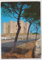 AK 05456 ITALY - Castel Del Monte - Other & Unclassified