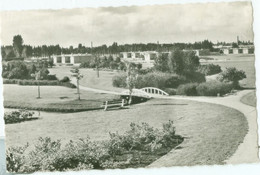 Aalsmeer; Seringenpark - Gelopen. (P. Jager - Aalsmeer) - Aalsmeer