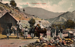 Promenade à Mulet Dans Les Alpes - Edition Courtin à Grenoble - Carte Colorisée N° 76 Non Circulée - Rhône-Alpes