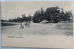 C. P. A. : TANZANIE : Zanzibar, Negerviertel - Tanzania