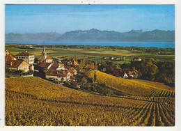 Vaud - Féchy - Les Vignobles (double) - Féchy