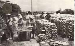 33 - Très Belle Carte Postale Semi Moderne Du BASSIN D'ARCACHON   Travaux Ostréicoles Le Chaulage Des Huitres - Arcachon