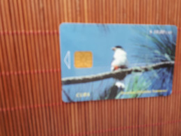 Bird Phonecard Only 40.000 EX Made - Zangvogels