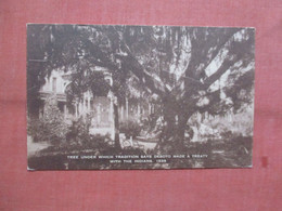 Tree Under Which Tradition Says Desoto Made A Treaty With Indians  Tampa Bay Hotel  Florida          Ref  5236 - Tampa