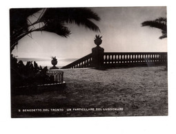 14220 " S. BENEDETTO DEL TRONTO-UN PARTICOLARE DEL LUNGOMARE " -VERA FOTO -CART. POST. SPEDITA 1953 - Ascoli Piceno