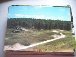 Nederland Holland Pays Bas Hoogeveen Met Groeten Uit Drenthe - Hoogeveen