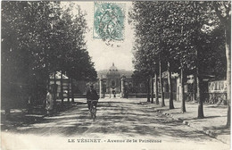 78    Le Vesinet  -   Avenue De La Princesse - Le Vésinet