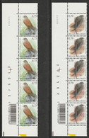 3608/3609 Bande De 5 Avec Data 20.xii.06 /19.xii.06 ** - 1985-.. Oiseaux (Buzin)