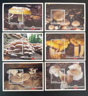 Malawi 2018 Mi. Bl. 140 - 145 Mushroom Pilze Champignons MNH** - Malawi (1964-...)