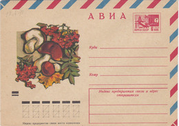 Enveloppe Entier Postal Russe,  Champignons Champignon, Mushroom Pilze Setas - Paddestoelen
