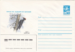 Enveloppe Entier Postal Russe, Pic Ver Champignon Paraiste De L'arbre Champignon, Mushroom Pilze Setas - Paddestoelen