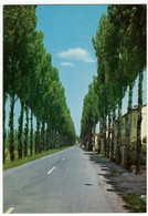 GUASTALLA - REGGIO EMILIA- VIALE PO - 1970 - Reggio Emilia