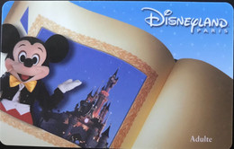 FRANCE  -  DisneyLAND PARIS  -  Mickey  -  Adulte - Disney Passports