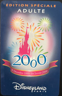 FRANCE  -  DisneyLAND PARIS  - WINNIE L'OURSON  - MILLENIUM  -  Adulte - Passeports Disney