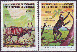 CAMERUN - KAMERUN - ANIMALS - CHAMPANZEE  BONGO - **MNH - 1982 - Chimpancés