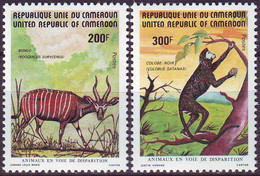 CAMERUN - KAMERUN - ANIMALS - CHAMPANZEE  BONGO - **MNH - 1982 - Chimpancés