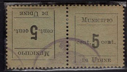 Italy (1918) Occupation Of Udine Tête-bêche Pair Used. - Udine