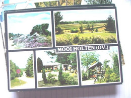 Nederland Holland Pays Bas Holten Met Mooie Natuur - Holten