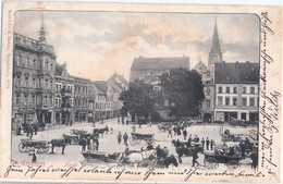 ANKLAM Markt Wein & Kaffee Gemischtwaren Pferde Ackerwagen Kutschen Gelaufen 31.12.1903 - Anklam