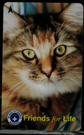 SINGAPORE 2002 PHONECARD CATS USED VF!! - Cats