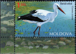 Moldova 2014 "Fauna Of Moldova.White Stork" 1v Quality:100% - Moldavie