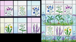 Moldova 2016 "Wild Flowers" SS & 6v Quality:100% - Moldawien (Moldau)