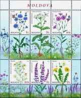 Moldova 2016 "Wild Flowers" SS Quality:100% - Moldavië