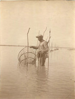 MARAIS DE SARIZA FLEUVE VARDAR FILETS INDIGENES 1917  PHOTO ORIGINALE 10 X 8 CM - Places