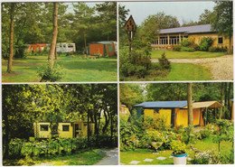 Garderen - Camping 'De Hertshoorn', Putterweg 68-70 - (Gelderland, Nederland) - CARAVAN & STACARAVAN - Barneveld