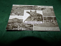 VINTAGE UK SOMERSET: WESTON Super MARE Greetings Multi View B&w Cat - Weston-Super-Mare