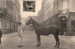 Le Havre * Carte Photo * Homme Boucher Abattoir Et Son Cheval Dans La Rue , Au Fond La Banque Caisse D'épargne - Zonder Classificatie