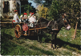 CPM SAINT-PALAIS Groupe Jarraiki - Folklore (1167102) - Saint Palais