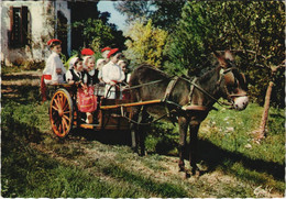 CPM SAINT-PALAIS Groupe Jarraiki - Folklore (1167467) - Saint Palais