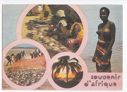 Afrique En Couleur , Femme Seins Nus, Circulé - Togo