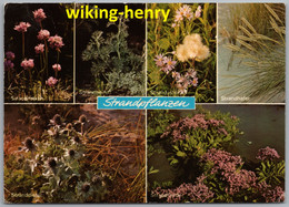 Langeoog - Mehrbildkarte 10   Strandpflanzen - Langeoog
