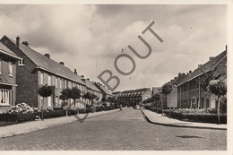 Postkaart/Carte Postale TURNHOUT - Rerum Novarumlaan (C1187) - Turnhout