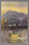 Illustrateur Müller. Paysage, Canards (12858) - Müller, August - München