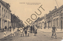 Postkaart/Carte Postale HEMIKSEM St Bernardschesteenweg (C1239) - Hemiksem