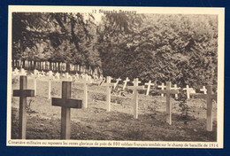 Signeulx- Baranzy. Cimetière Où Reposent Près De 800 Soldats Français Morts Durant Les Combats Du 22 Août 1914 - Musson
