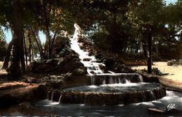 6811 Carte Postale SIDI BEL ABBES Jardin Public, Cascade Du Jardin Public       (scan Recto-verso) Algérie - Sidi-bel-Abbes