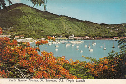 Amérique - Iles Virgin - US Virgin Islands - Saint Thomas - Yacht Haven Marina - Islas Vírgenes Americanas