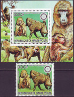 HAUTE  VOLT -  BABOUINS  -ROTARY - **MNH - 1984 - Chimpancés