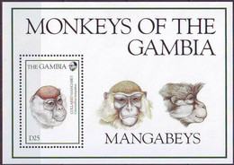 GAMBIA - CHIMPANZEE - **MNH - 1994 - Chimpancés