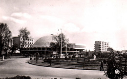 6836 Carte Postale SIDI BEL ABBES Les Halles     (scan Recto-verso) - Sidi-bel-Abbes