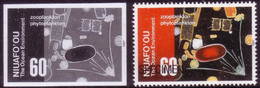 Tonga Niuafo'ou 1997 Ocean Environment - Phytoplankton + Zooplankton - Proof + Specimen - Tonga (1970-...)