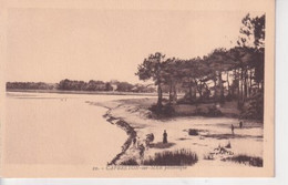 Delcampe - CAPBRETON(ARBRE) - Capbreton
