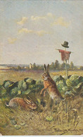 Illust. MÜLLER J. (München 1901) 2 Lièvres Dans Un Champ De Choux  Près D'un épouvantail - Autres & Non Classés