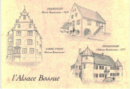 L'Alsace Bossue Oermingen Sarre Union Diedendorf - Dessins Gerold Jean-Claude - Altri & Non Classificati
