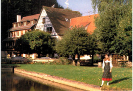 La Petite Pierre - Auberge D'Imsthal Restaurant Hôtel - La Petite Pierre